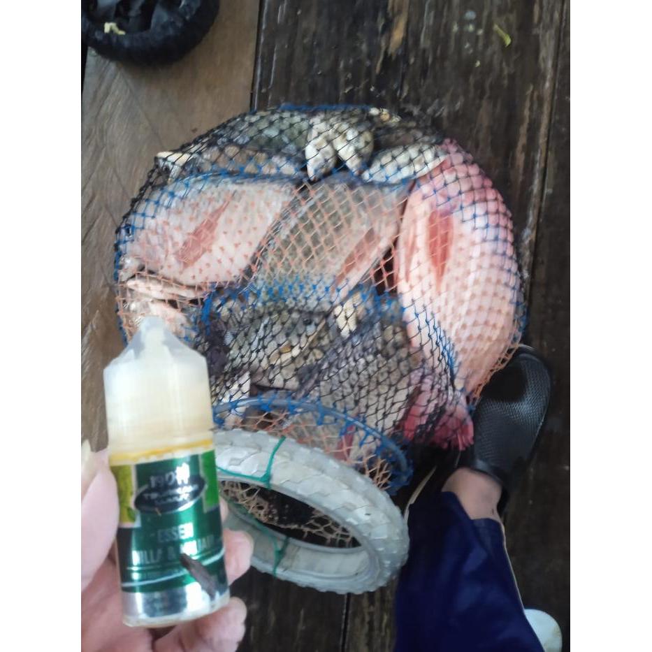 Cairomartt- Essen Lumut Tsurikami Cocok Buat Umpan Ikan Nila Dan Mujair Lure Essen Juga Bisa Buat
