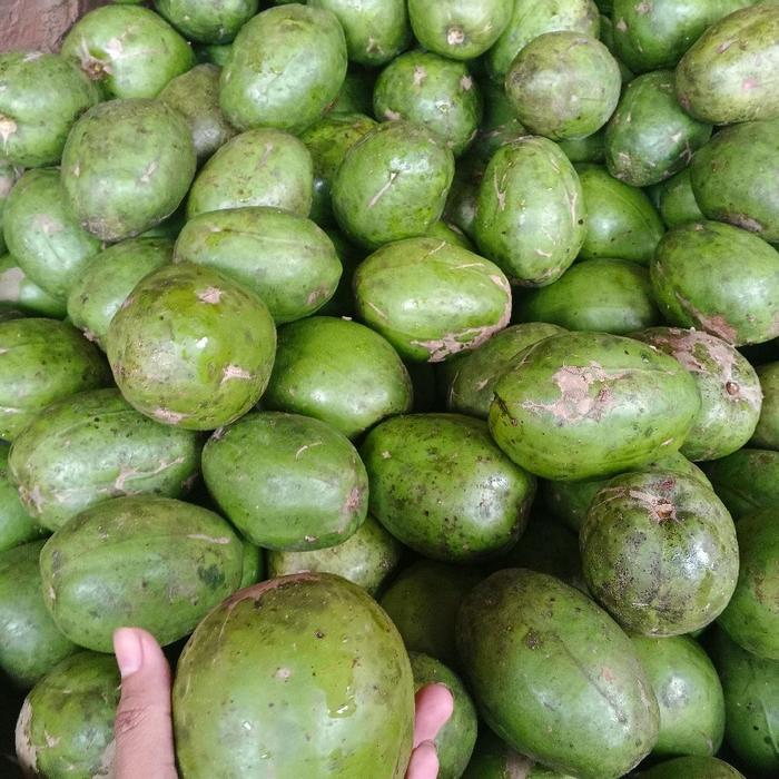 buah kedondong bangkok Untuk rujakan