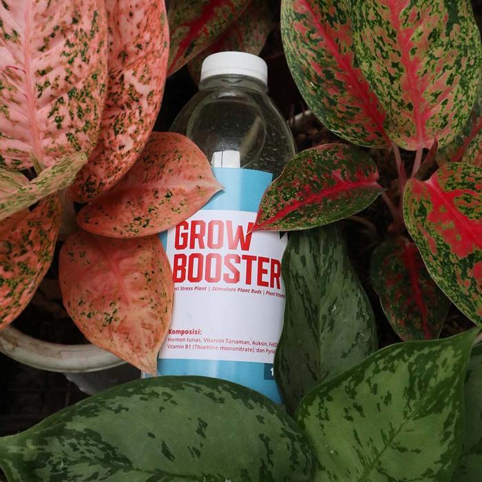 Vitamin B1 Tanaman Organik Grow Booster 1 Liter