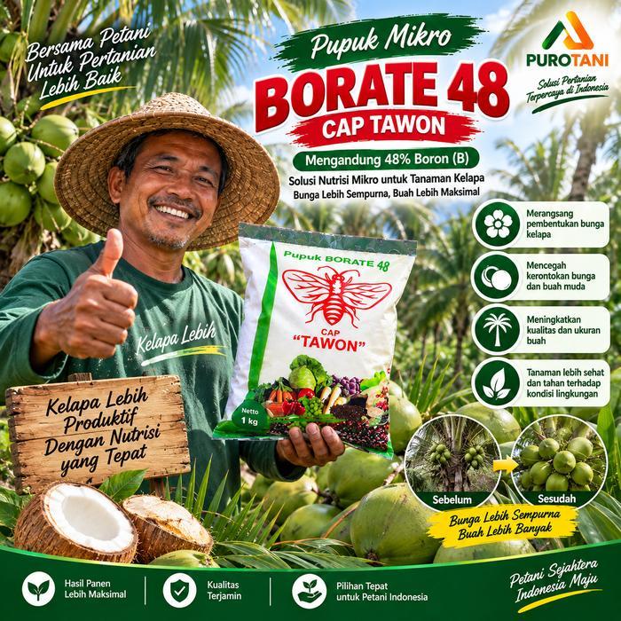 Ready Pupuk Mikro Boron Borate 48 Tanaman Bunga