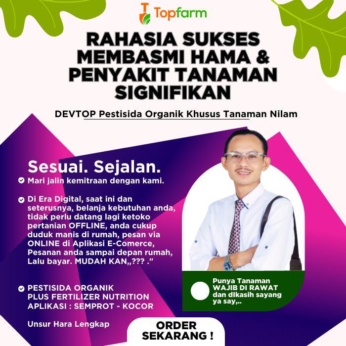 Obat Untuk Tanaman Nilam / Obat Penyakit Nilam / Obat Daun Nilam / Obat Semprot Daun Nilam / Obat