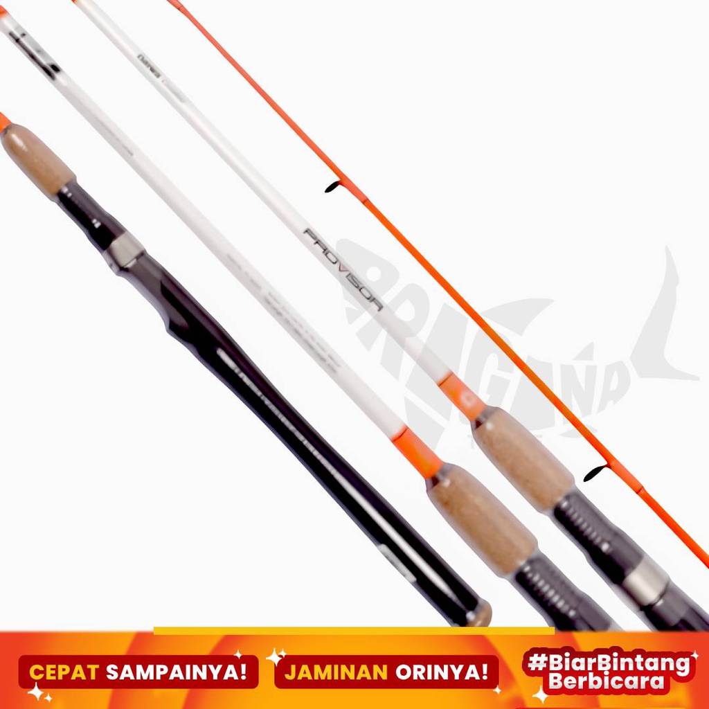 Joran Pancing Spinning Daiwa Provisor FUJI Carbon 165cm