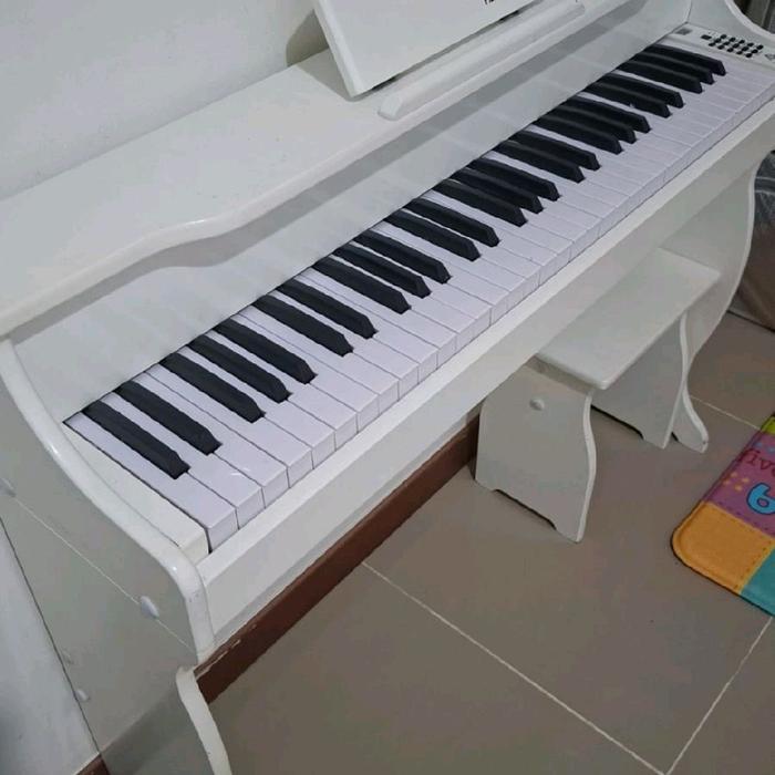 Ex Display Piano Renopia Piano Digital Anak