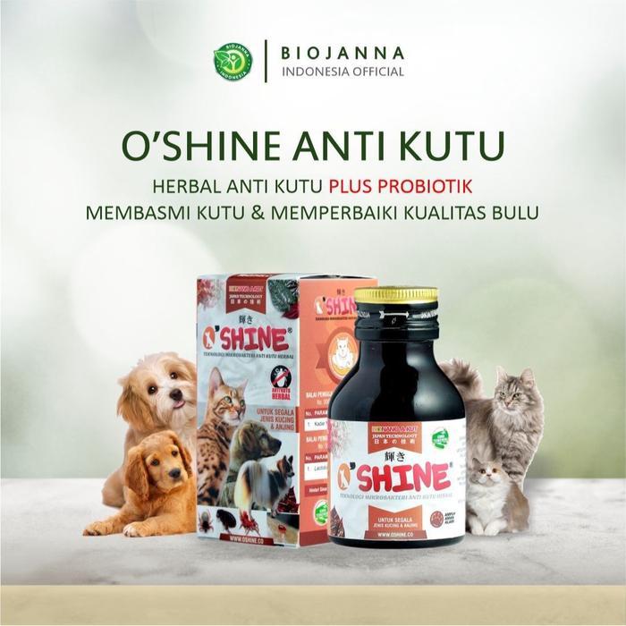 READY Oshine Obat Anti Kutu Jamur Scabies Kucing Kitten Anjing Ampuh Plus Probiotik