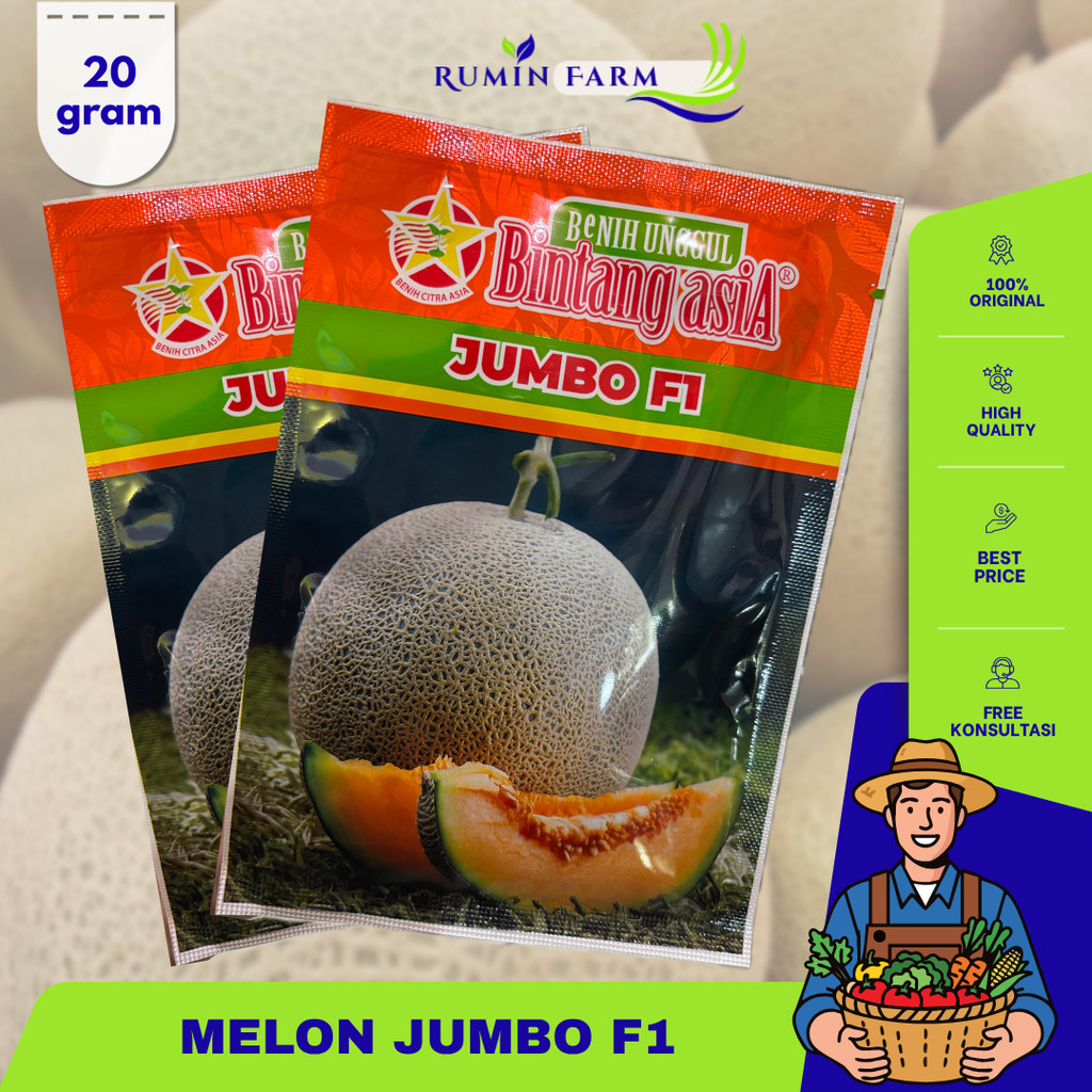 Benih Melon Jumbo  Cap Bintang Asia