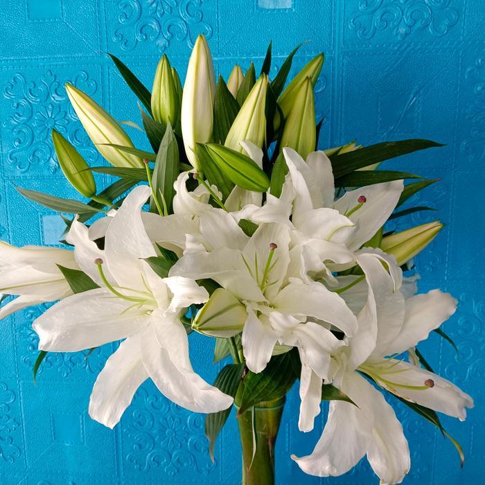 yohg- Bunga Lily Putih Asli Fresh