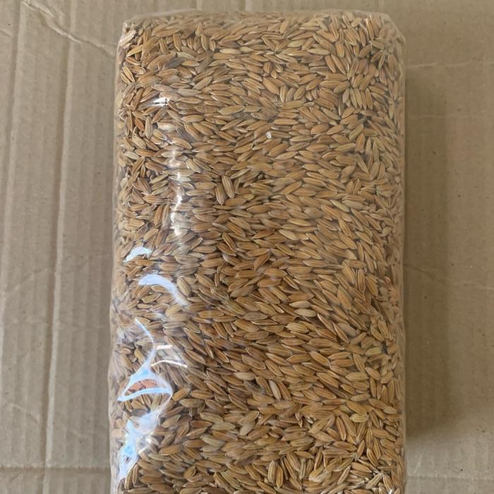 Raflezia Gabah Padi Ketan Hitam 1Kg