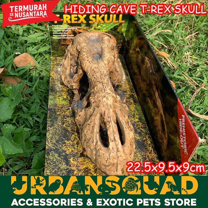 Exoterra T-Rex Skull Hiding Cave Laba Laba Kadal Tegu Bearded Dragon