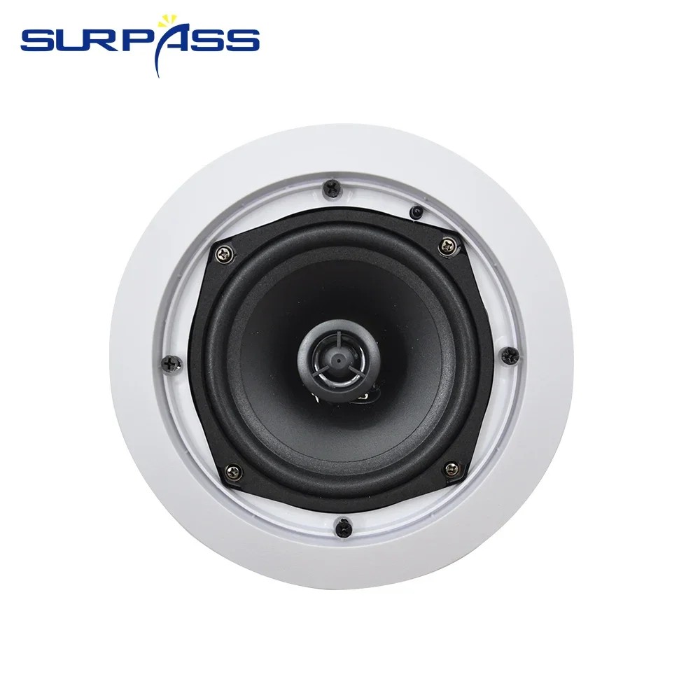 20W 5.25'' Bluetooth Ceiling Speaker Coaxial In Ceiling Wall Bluetooth Speaker Built-in Class D Ampl