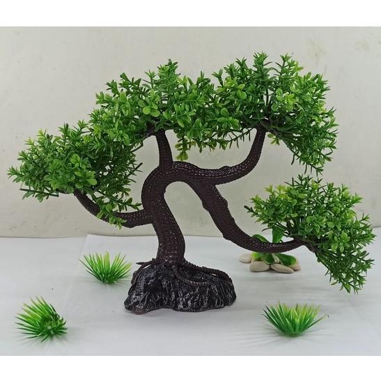 Hiasan aquarium tanaman bonsai, bonsai aquarium, dekorasi aquarium tanaman bonsai, pohon bonsai
