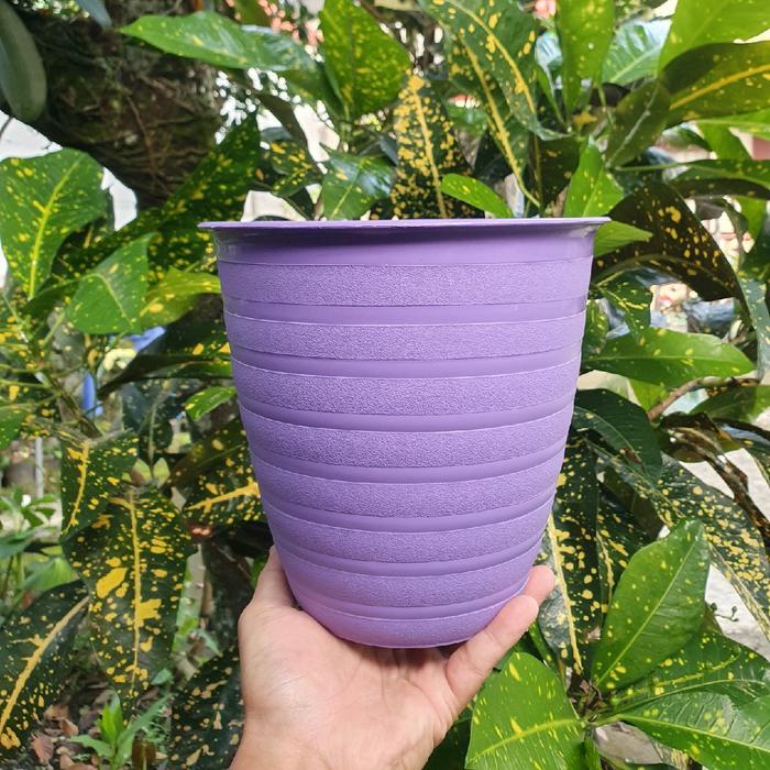 Pot Tawon Tirus 20 Cm Paket Isi 6 Pot Murah Hijau Putih