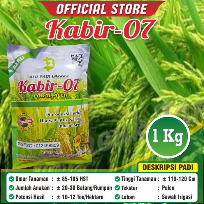 TamanHijau- Bibit Padi Unggul Kabir 07 Asli Nanggro Aceh