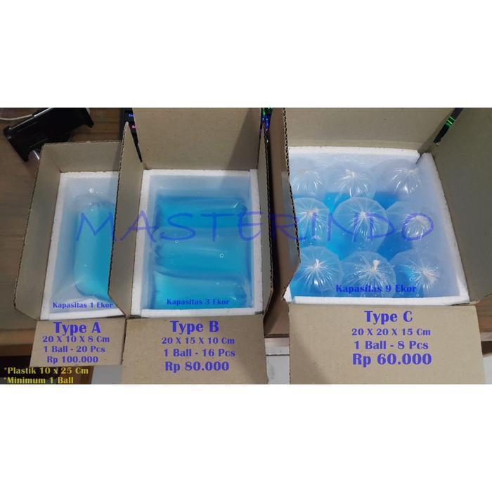 Kardus Box Packing Ikan Cupang Terbaru