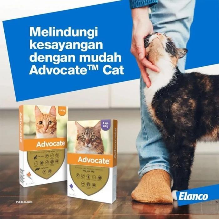 Advocate Cat Elanco Obat Kutu Kucing Advocate