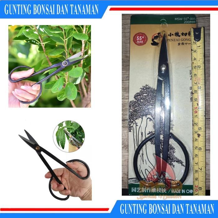 Gunting Daun Ranting Bonsai Tanaman, Gunting Pruning China