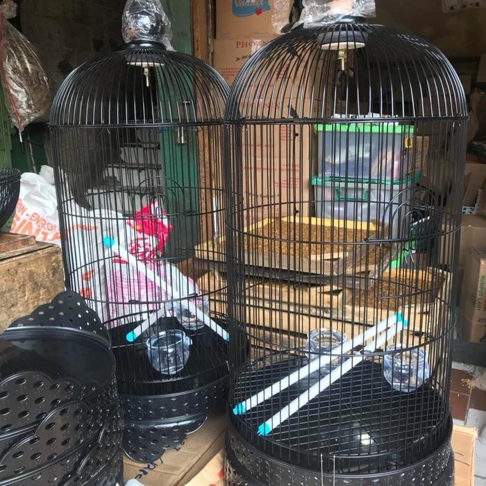 READY SANGKAR KANDANG LOVEBIRD MERK SWEET BESI TEBAL MERIAH