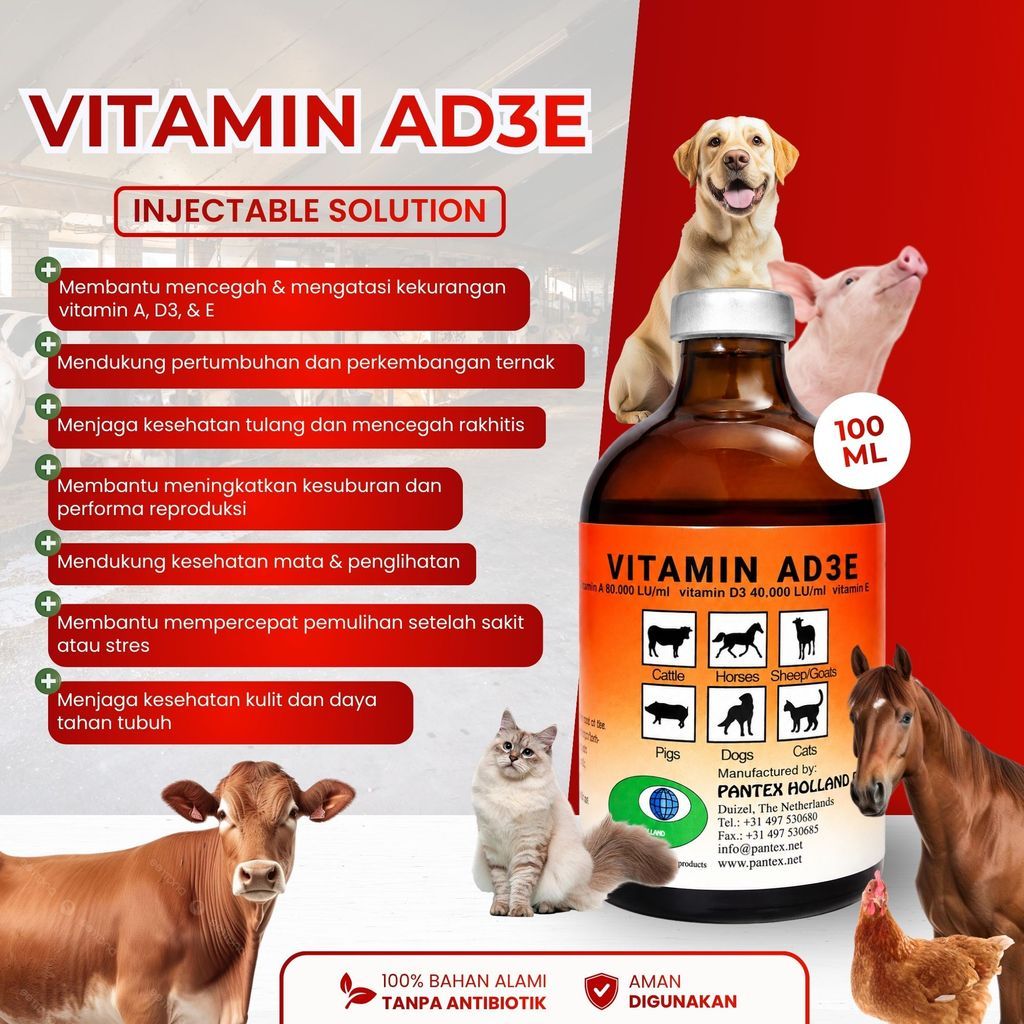 Vitamin Ad3e Holland - Vitamin Sapi Manjur - Ad3e Vitamin Injeksi 100ml