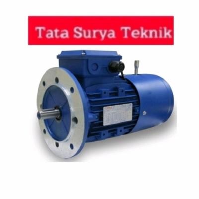 Brake Motor Yuema YBD 4P 3kw 4hp 3Phase B5
