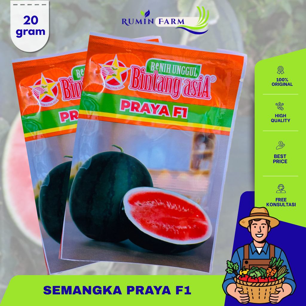 Benih Semangka Praya  Cap Bintang Asia