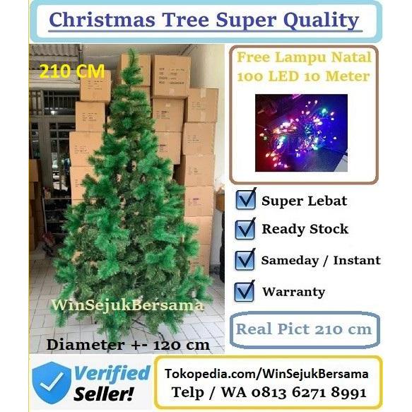 Pohon Natal 2.4 meter