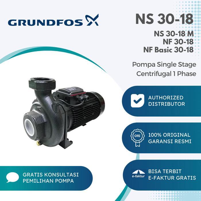 Single Stage Centrifugal Grundfos NS 30-18