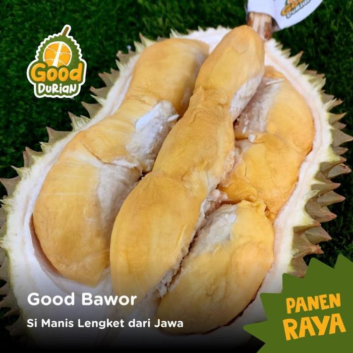 Terlaris Durian Bawor Kupas Premium - Durian Bawor Fresh - Durian Kupas Bawor Gratis Ongkir
