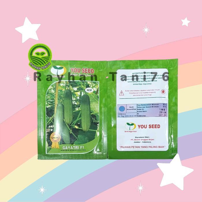 Moms_Syafa Benih Timun Lalap Gayatri F1 20 Gram Cap You Seed 800 An Biji