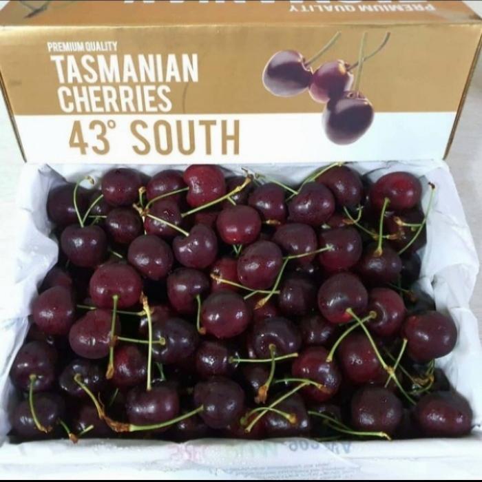 Buah Cherry Tasmania California 1 Dus