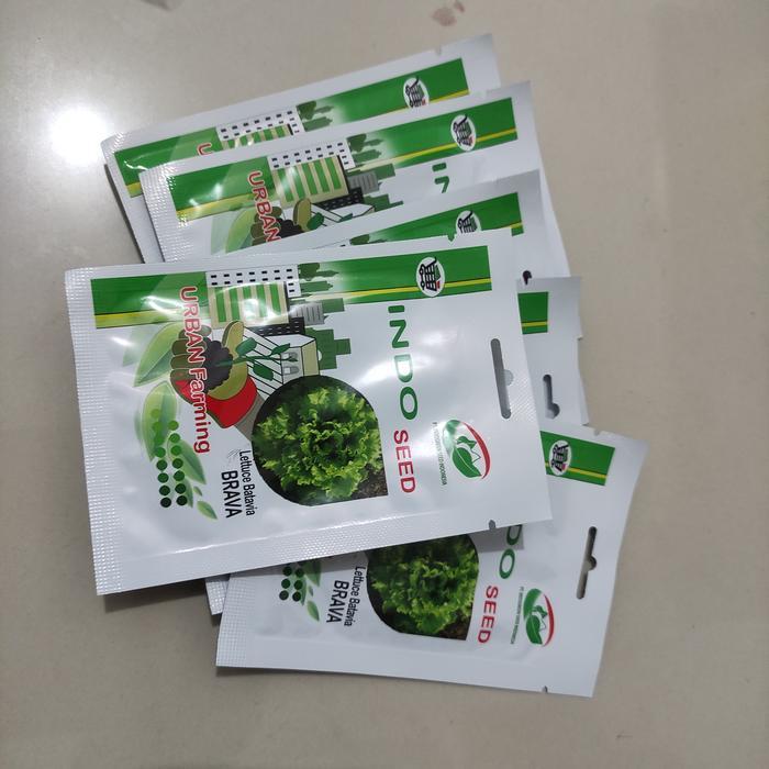 Yuxurystore- Benih Selada Keriting Brava 1Gr