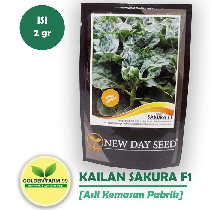 > New Day Seed Benih Kailan Hibrida Sakura F1 New Day Seed - Harga Murah, Berat 2 gr, Kemurnian 98%,