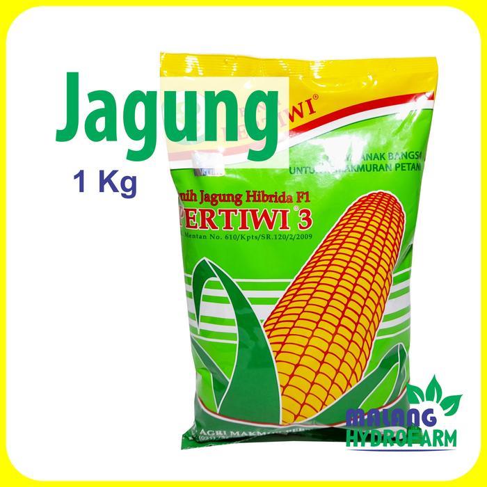 Benih Jagung Pertiwi 3 1 Kg unggul bibit biji hidroponik hydroponik pakan pipil bisi 18 hibrida