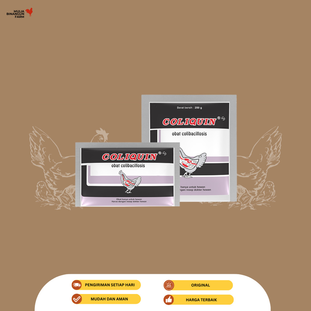 Coliquin obat sistem pernafasan ayam Kemasan : 100 g, 250 g