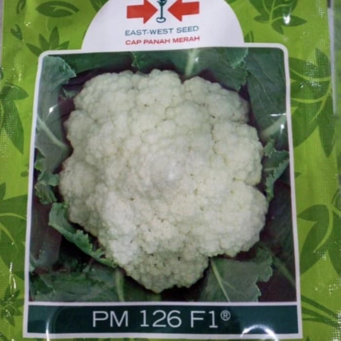 NEW Benih bunga kol PM126 F1 10 gram bungkul hibrida pm 126 panah merah kembang kol pm126 f1 bunga