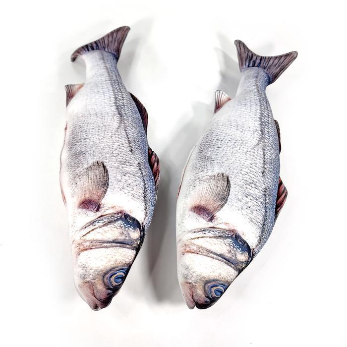 READY Boneka Ikan Kakap Putih Laut Segar Barramundi Premium untuk Prank