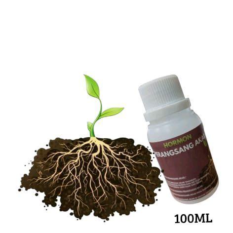 Perangsang Akar Hormon Perangsang Akar Isi 100Ml