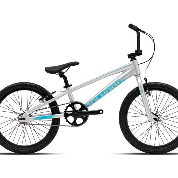 Polygon 20 Polygon Rogue Sepeda BMX Frame Alloy V Brake Cocok untuk Rider Aktif - Silver