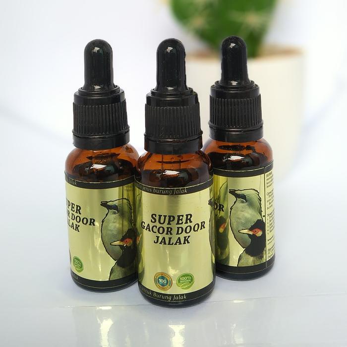 Penggacor Jalak Bali Super Gacor Door Jalak Bali Suren Juara Gantangan #Gratisongkir