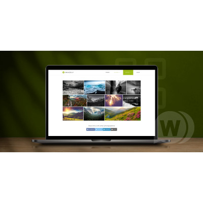 NextGEN Pro Gallery - Plugin Galeri Foto WordPress