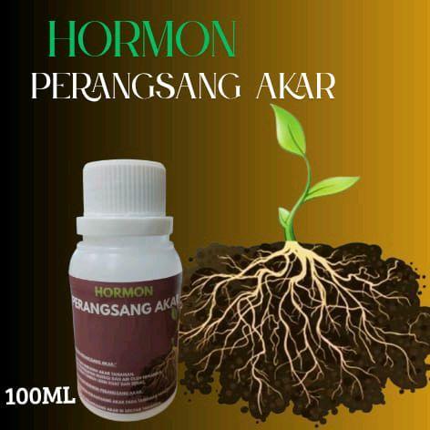 Perangsang Akar Hormon Perangsang Akar Isi 100Ml