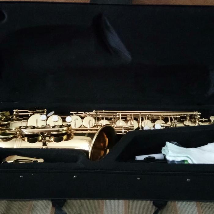 Saxophone Alto Peganini Gold RECOMENDED PRODUCT. BEST .