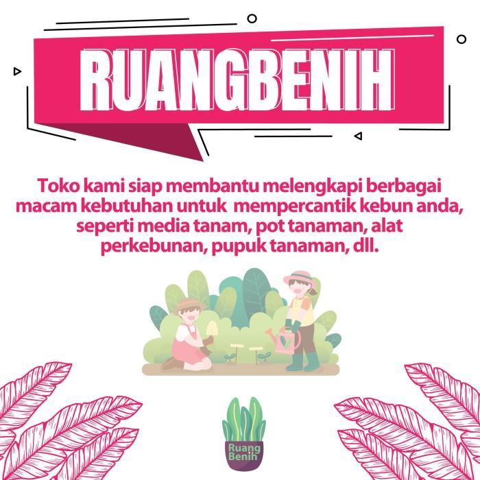 SALE Pot Dinding Tanaman Hias Bunga Pot Plastik Gantung Tempel Tembok Putih