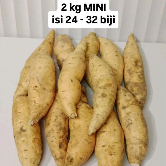 2 kg Ubi Madu Cilembu ukuran MINI (isi 24-32) Ubi Madu Wonogiri Telo Madu Kualitas Terbaik untuk