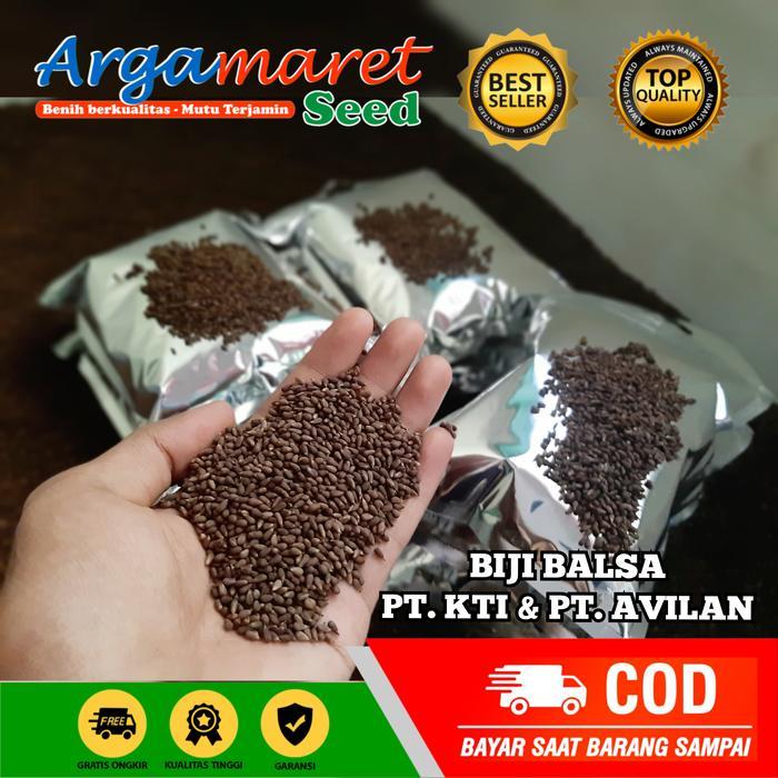 READY Grade A Biji Balsa Super F1 Biji kayu balsa