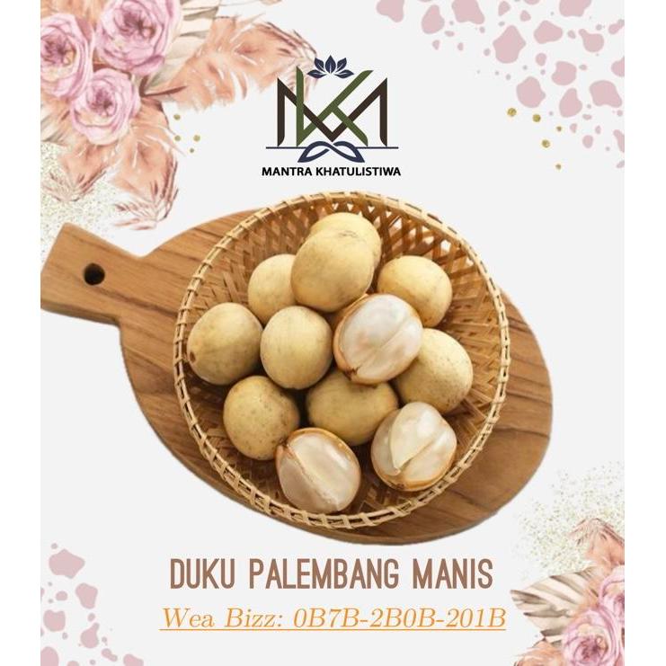 DISKON BUAH DUKU MANIS LEGIT DUKU PALEMBANG MANIS FRESH
