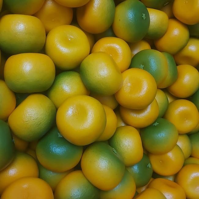buah jeruk hias orange artificial buah palsu pajangan jus replika buah