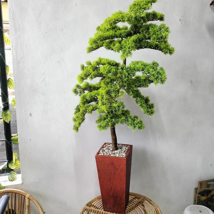 pohon bonsai cemara udang tinggi 120 cm - pohon bonsai artificial