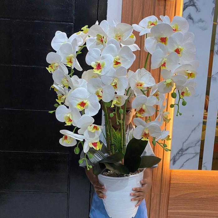 Anggrek Latex Premium Jumbo 5 Cabang Phirus Plastik Bunga Latex Dekorasi Meja Sudut Kualitas Terbaik