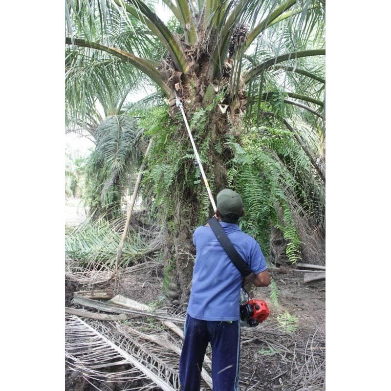 Mesin Panen Sawit Egrek Dodos Palm Cutter Tanika TS 5