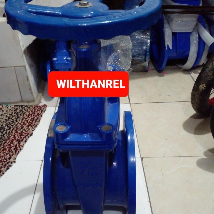 Sale Gate Valve 8" Pn16 Risilient
