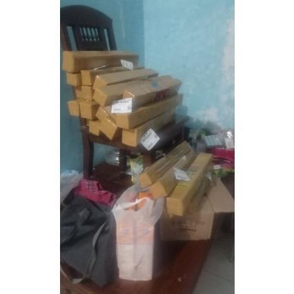 READY STOCK READY STOK bibit cangkok kondisi sudah BERBUAH. bibit pohon buah tin ara fig. buah